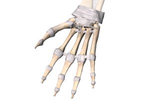 mano